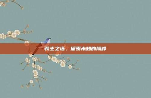 领主之塔,探索未知的巅峰