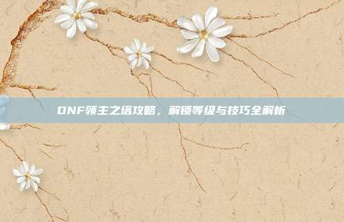 DNF领主之塔攻略,解锁等级与技巧全解析