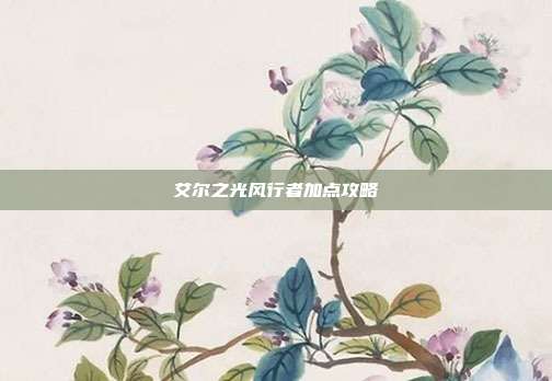 艾尔之光风行者加点攻略