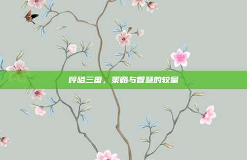 哼哈三国,策略与智慧的较量
