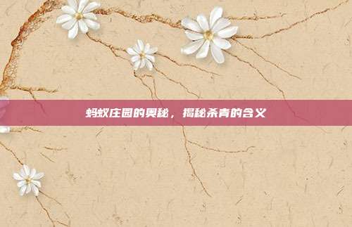 蚂蚁庄园的奥秘,揭秘杀青的含义