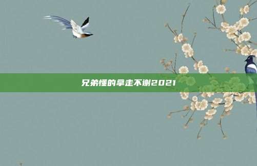 兄弟懂的拿走不谢2021