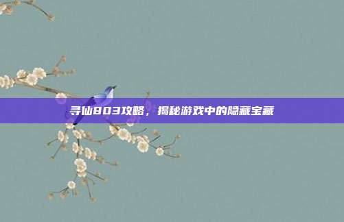 寻仙803攻略,揭秘游戏中的隐藏宝藏