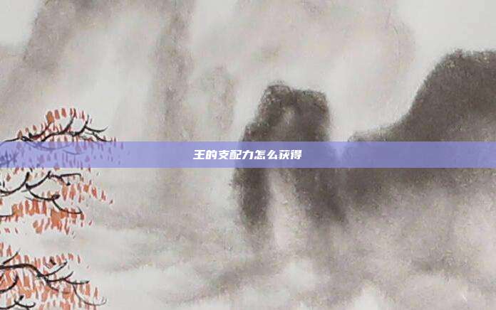 王的支配力怎么获得