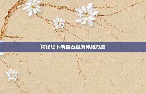 揭秘地下城堡石棺的神秘力量