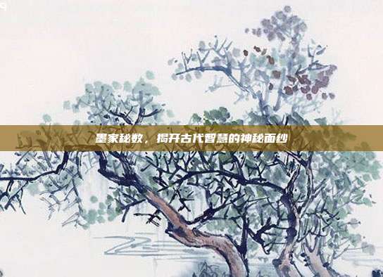墨家秘数,揭开古代智慧的神秘面纱