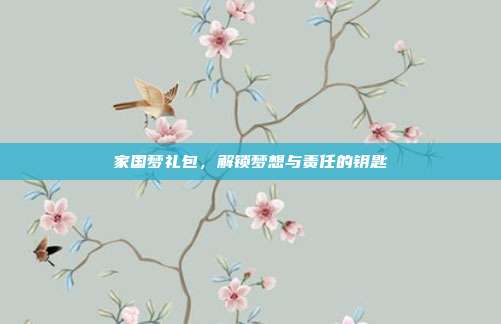 家国梦礼包,解锁梦想与责任的钥匙