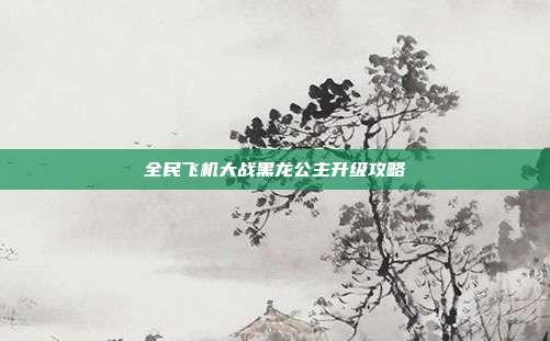 全民飞机大战黑龙公主升级攻略