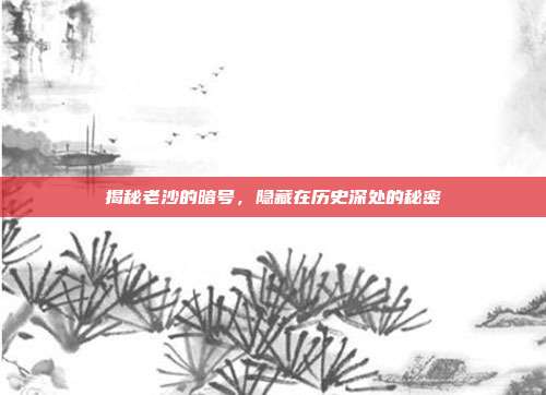 揭秘老沙的暗号,隐藏在历史深处的秘密