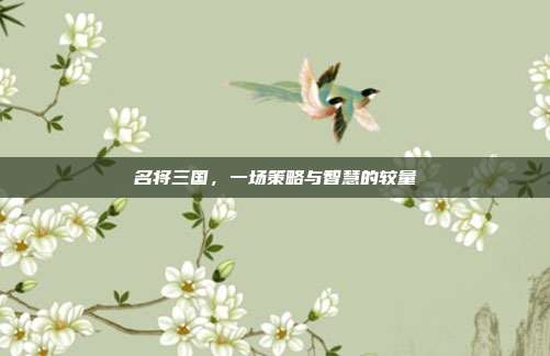 名将三国,一场策略与智慧的较量