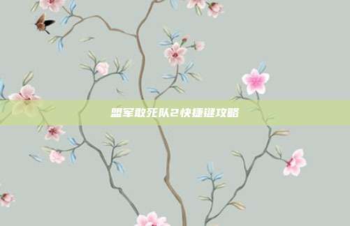 盟军敢死队2快捷键攻略