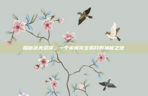 探秘沃夫沼泽,一个未被完全揭开的神秘之地