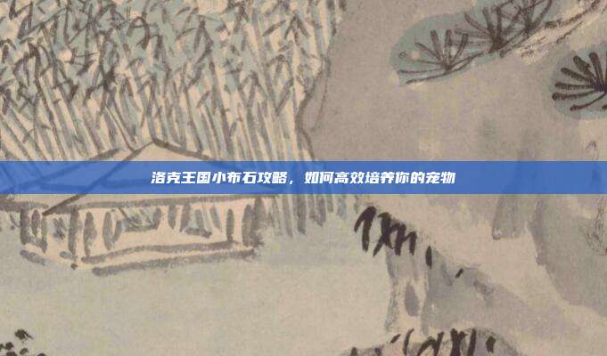 洛克王国小布石攻略,如何高效培养你的宠物