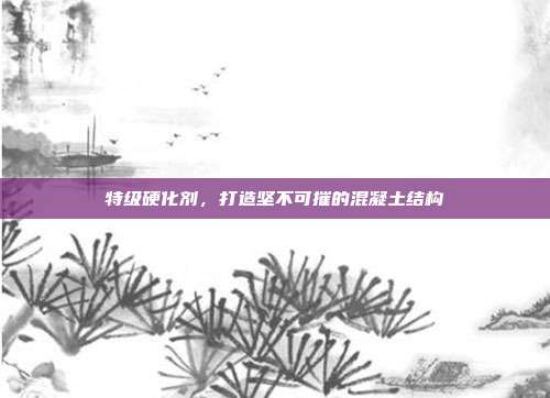 特级硬化剂,打造坚不可摧的混凝土结构