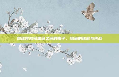 揭秘冒险岛黑色之翼的帽子,隐藏的秘密与挑战