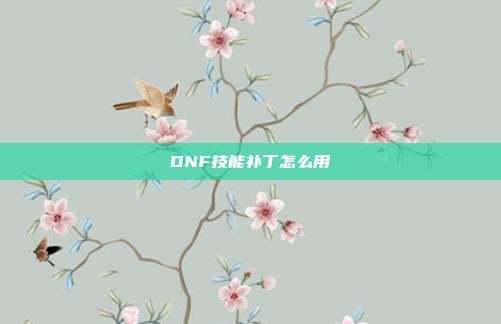 DNF技能补丁怎么用
