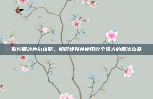烈焰盾波迪尔攻略,如何找到并使用这个强大的魔法物品