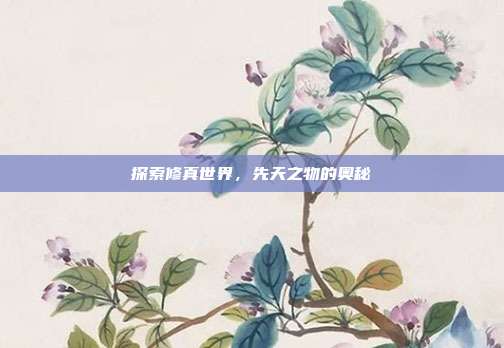 探索修真世界,先天之物的奥秘
