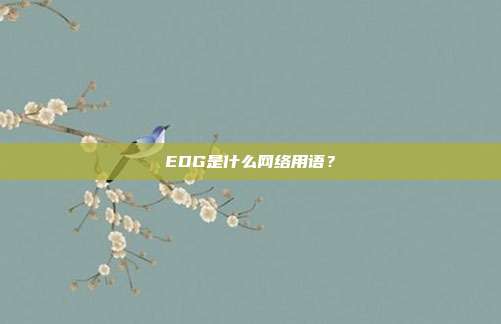 EDG是什么网络用语?