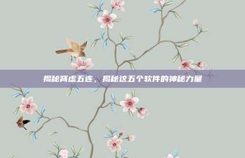 揭秘肾虚五连,揭秘这五个软件的神秘力量