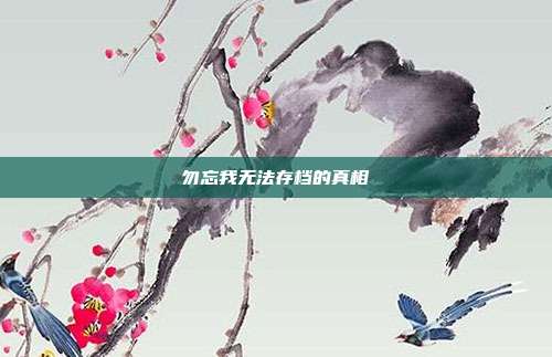 勿忘我无法存档的真相