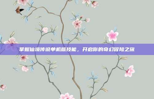 掌握仙境传说单机版技能,开启你的奇幻冒险之旅