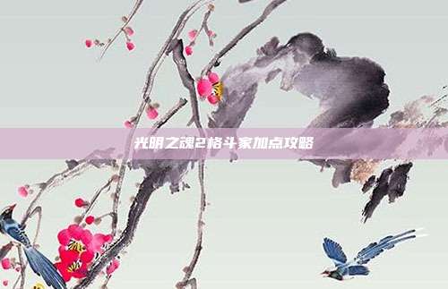 光明之魂2格斗家加点攻略