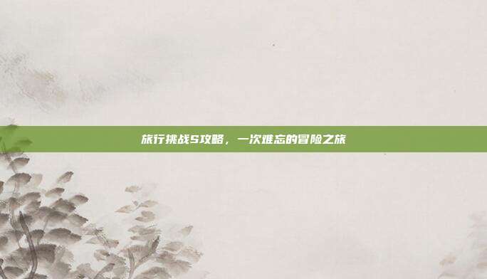 旅行挑战S攻略,一次难忘的冒险之旅
