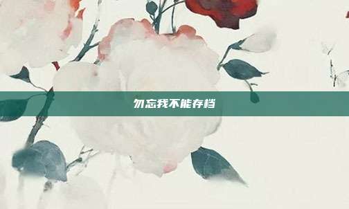 勿忘我不能存档