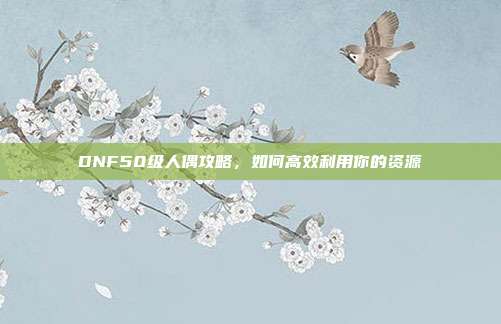 DNF50级人偶攻略,如何高效利用你的资源
