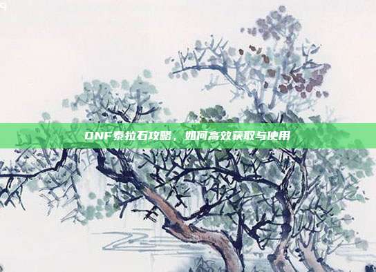 DNF泰拉石攻略，如何高效获取与使用