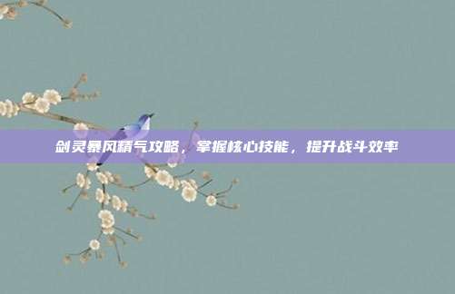 剑灵暴风精气攻略,掌握核心技能,提升战斗效率