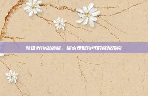 新世界海盗秘籍,探索未知海域的终极指南