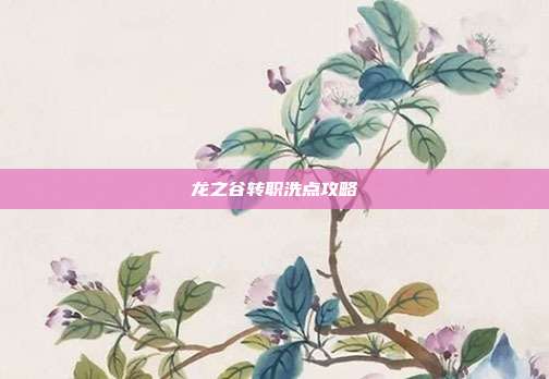 龙之谷转职洗点攻略