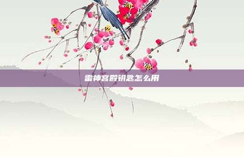 雷神宫殿钥匙怎么用