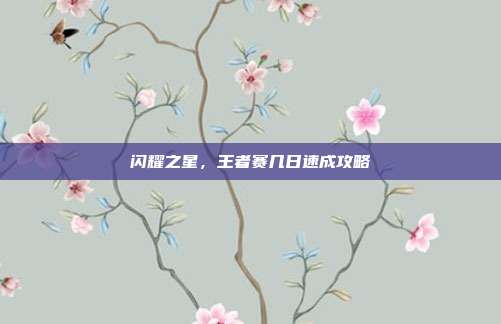 闪耀之星,王者赛几日速成攻略