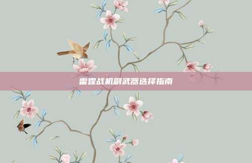 雷霆战机副武器选择指南