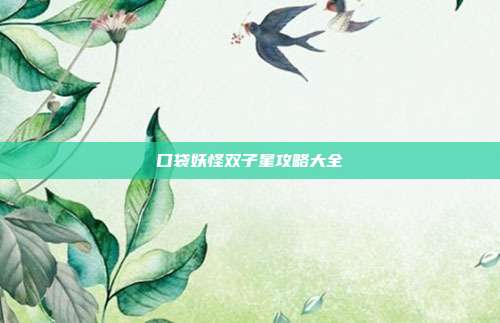 口袋妖怪双子星攻略大全