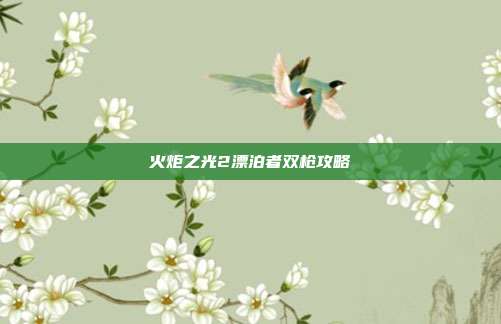 火炬之光2漂泊者双枪攻略