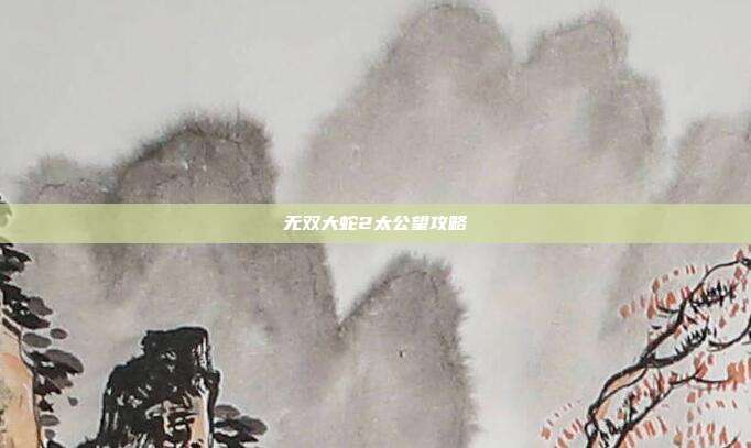 无双大蛇2太公望攻略