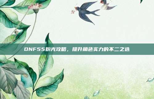DNF55粉光攻略,提升角色实力的不二之选