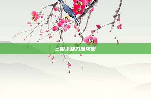 三国杀智力题攻略