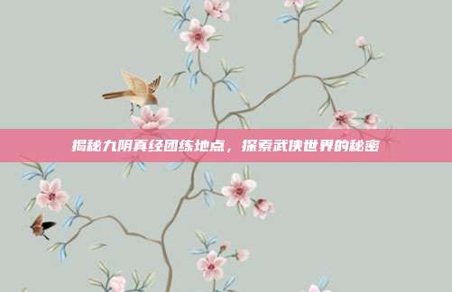 揭秘九阴真经团练地点，探索武侠世界的秘密