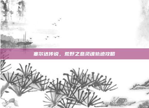 塞尔达传说，荒野之息灵魂轨迹攻略