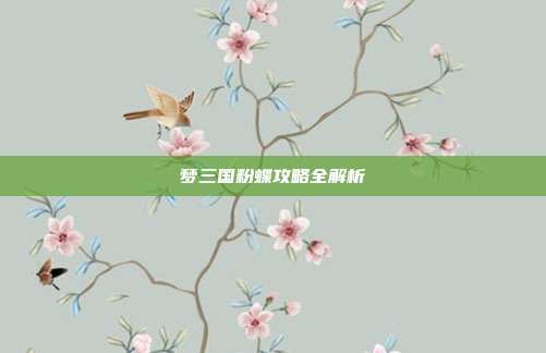 梦三国粉蝶攻略全解析