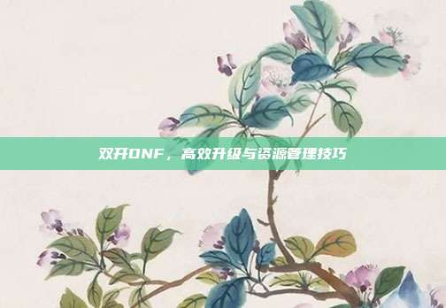 双开DNF,高效升级与资源管理技巧