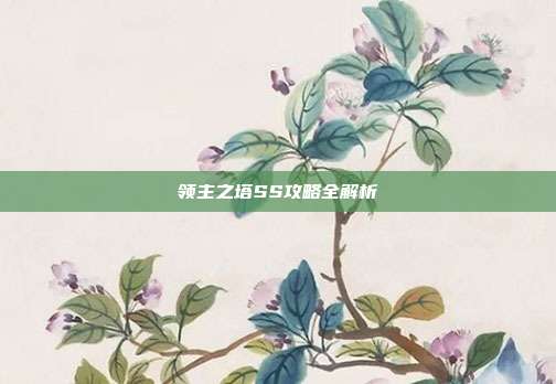 领主之塔SS攻略全解析