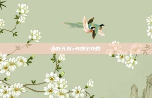 大蛇无双z孙悟空攻略