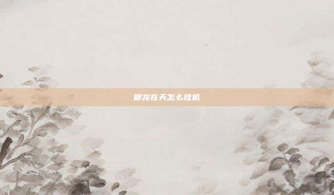 御龙在天怎么挂机