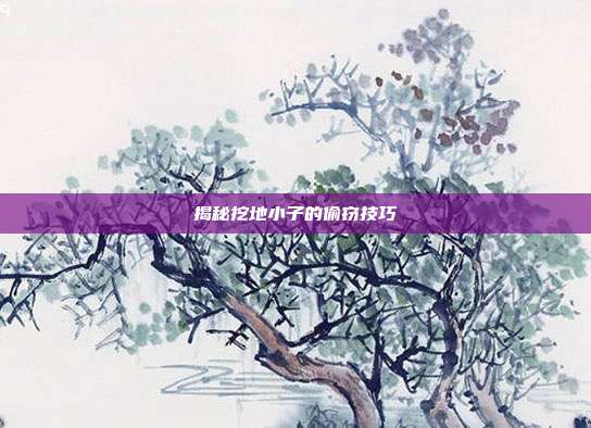 揭秘挖地小子的偷窃技巧